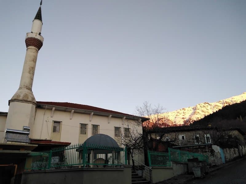 Nazilli Pide Ve Lahmacun Salonu