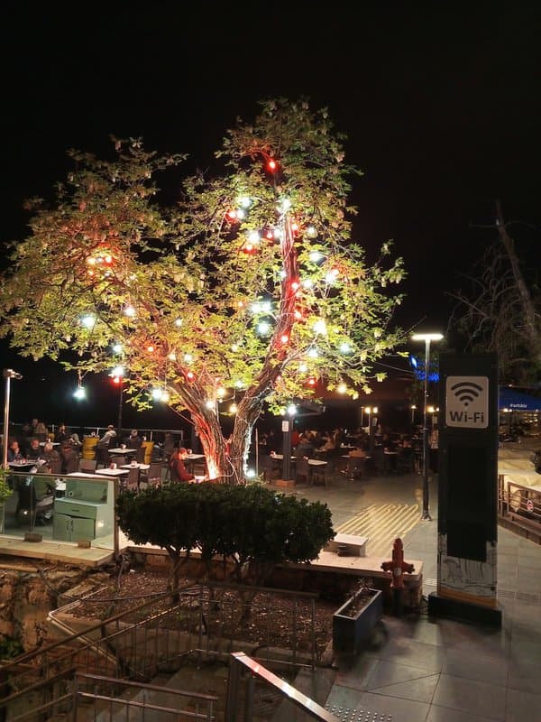 Antalya Belediye cafesi