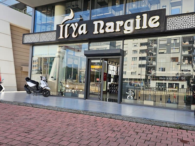 Ilya Nargile