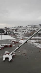 Gözlemeci Büfe