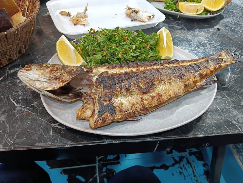 Zirve Balıkçılık