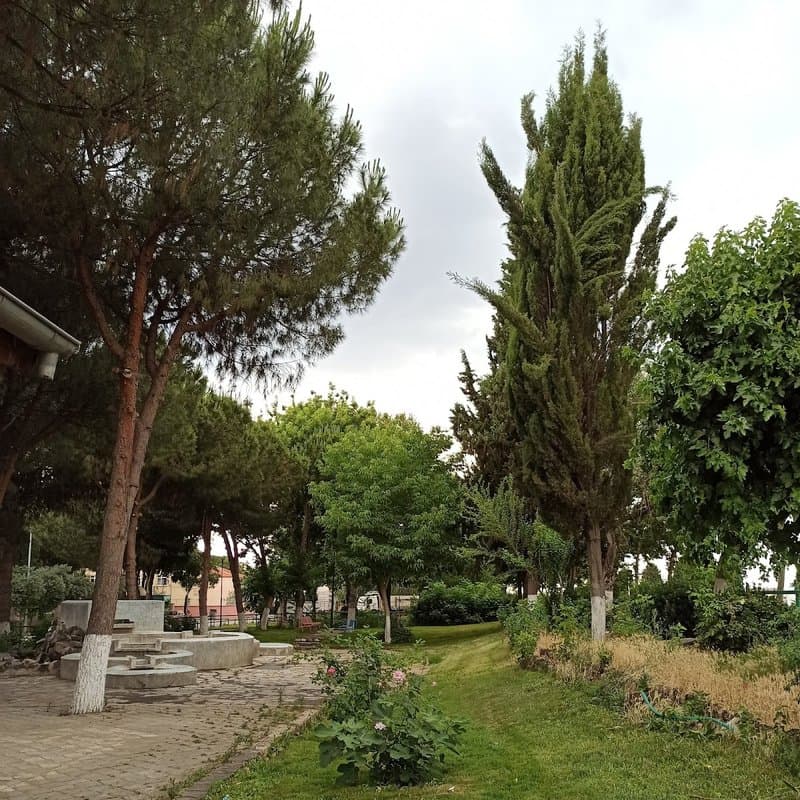 Salihli Kadın Kooperatifi Kafe